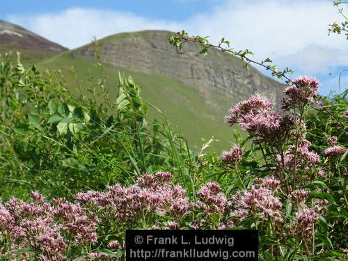 Benbulben